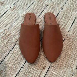 Toms Jutti Mule